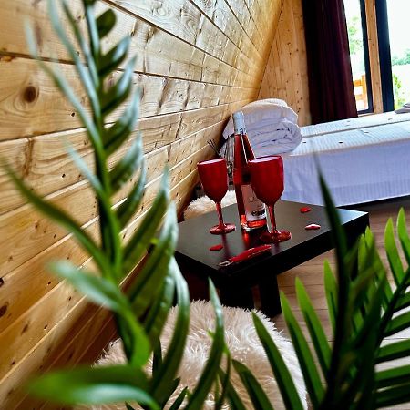 A-Frame Bucovina- Paradis Bucovinean Capu Cîmpului 外观 照片