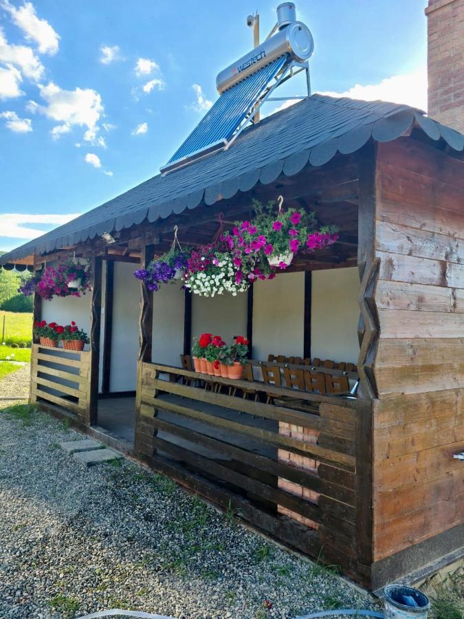 A-Frame Bucovina- Paradis Bucovinean Capu Cîmpului 外观 照片