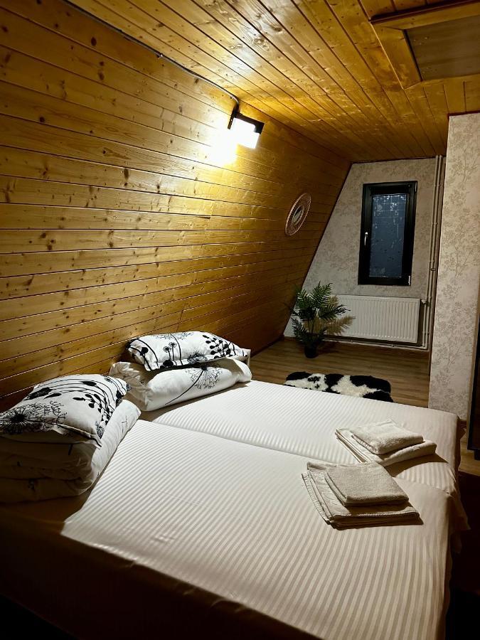 A-Frame Bucovina- Paradis Bucovinean Capu Cîmpului 外观 照片