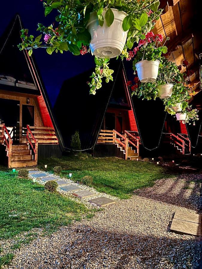 A-Frame Bucovina- Paradis Bucovinean Capu Cîmpului 外观 照片