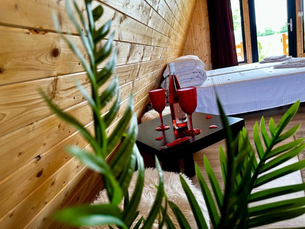 A-Frame Bucovina- Paradis Bucovinean Capu Cîmpului 外观 照片